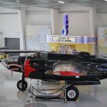 LyonMuseum_0074 (March 26, 2011)